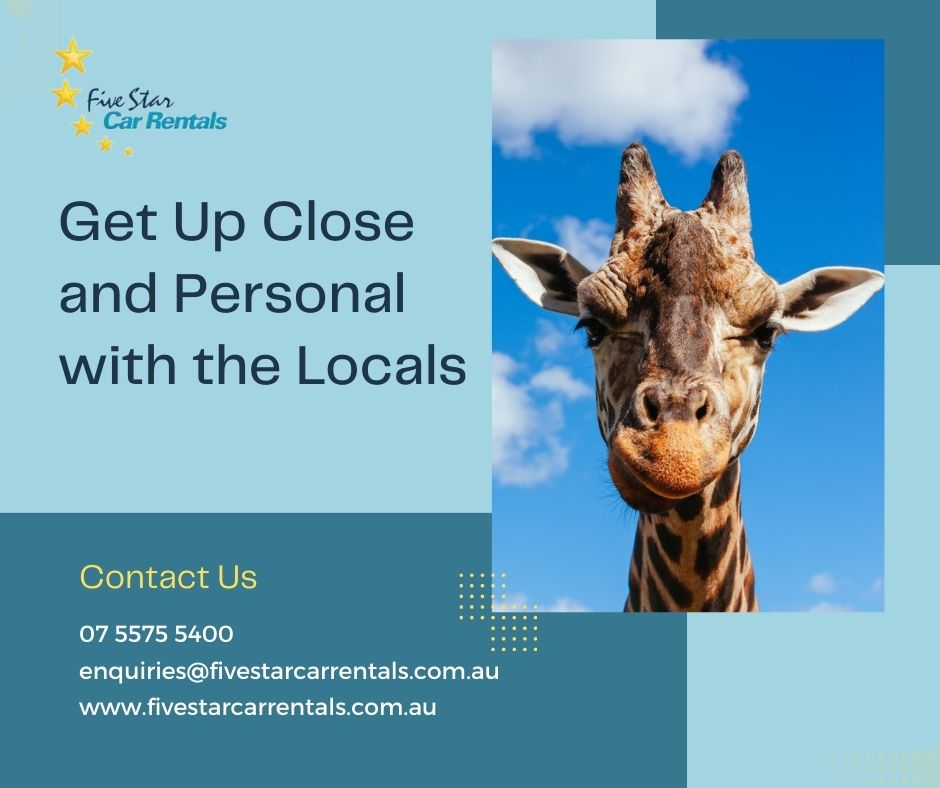 Get Up Close and Personal with the Locals - Car hire Brisbane and Brisbane car rental - Five Star Car Rental